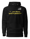 Are those Level IV plates Hoodie